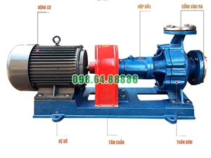 Bơm dầu nóng công nghiệp RY125-80-160 Lưu lượng 160 m3/h, công suất 22 kW, cột áp 50 m